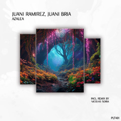 Premiere: Juani Ramirez, Juani Bria - Azalea (Nicolas Soria Remix) [Polyptych]