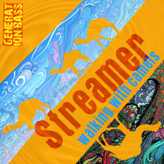 070 Streamer_walking with camels