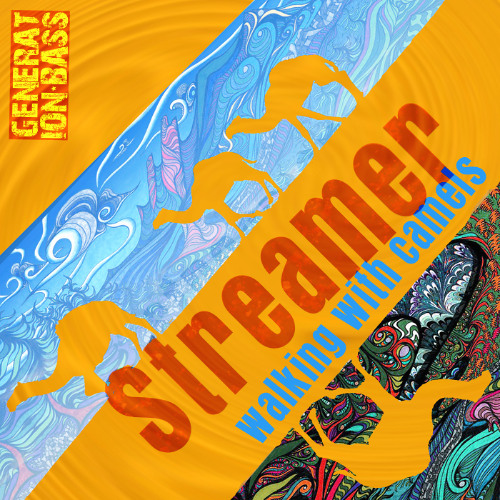 070 Streamer_walking with camels