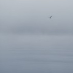 Ocean Fog