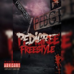 Pedigree Freestyle. | made on the Rapchat app (prod. by dreamteam00)