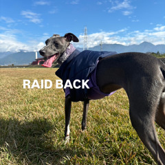 レイドバック