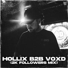 HOLLIX B2B VOXD (2K FOLLOWERS MIX)