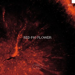 Zhēng-Fā 001 : Red Pig Flower (Live Set)