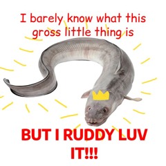 The Bregas' Eel