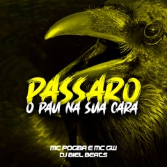 PASSARO O PAU NA SUA CARA - MC Pogba e MC GW (DJ Biel Beats)