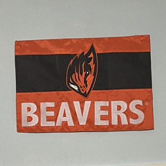 Beaver dam rasta jam