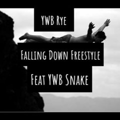 Falling Down Freestyle Feat YWB Snake