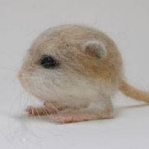 Guys, I think I just unlocked the full autistic spectrum...