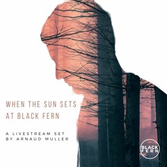 Arnaud Muller | When the sun sets at Black Fern | Livestream set