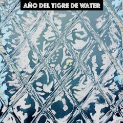 SAUNA Temazcalli - El AÑO DEl TIGRE D' WATER.