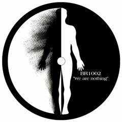 KRLF016 BR1002 - "We Are Nothing" (12" + 7" vinyl pack - including Swarm Intelligence Remix)