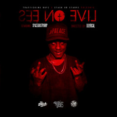 SpaceGhostPurrp - See No Evil