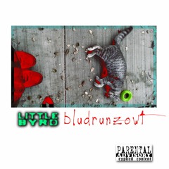 Bludrunzowt - little byrd