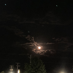 Gone, close your eyes with me (prod. by Jisatsu)