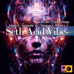 Werner Fisherman - Seth Acid Vibes (Marco Woods & Teepaul Remix)