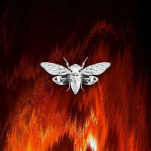 Axelax - Secret Place