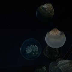 peach (Prod.kuriyai) mix.fiendboi