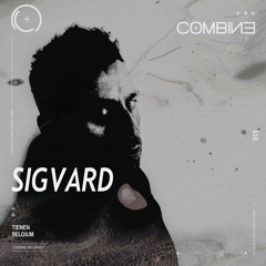 COMBINE: Mix Series | Sigvard | 015