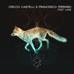 Premiere: Cricco Castelli & Francesco Ferraro - Fast Lane [Stealth Records]