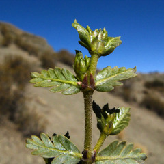 Nothing else matters