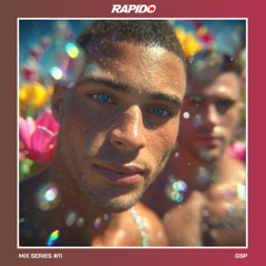 Rapido Mix Series #11 - GSP