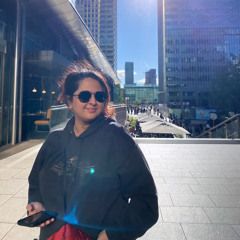 Shipperman - Futile Devices (Sufjan Stevens cover)