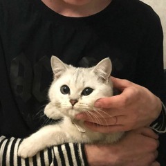 ZayD.-伯爵Johnny、唐伯虎Annie - 伯虎说 (DJ阳少版)