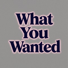 What You Wanted