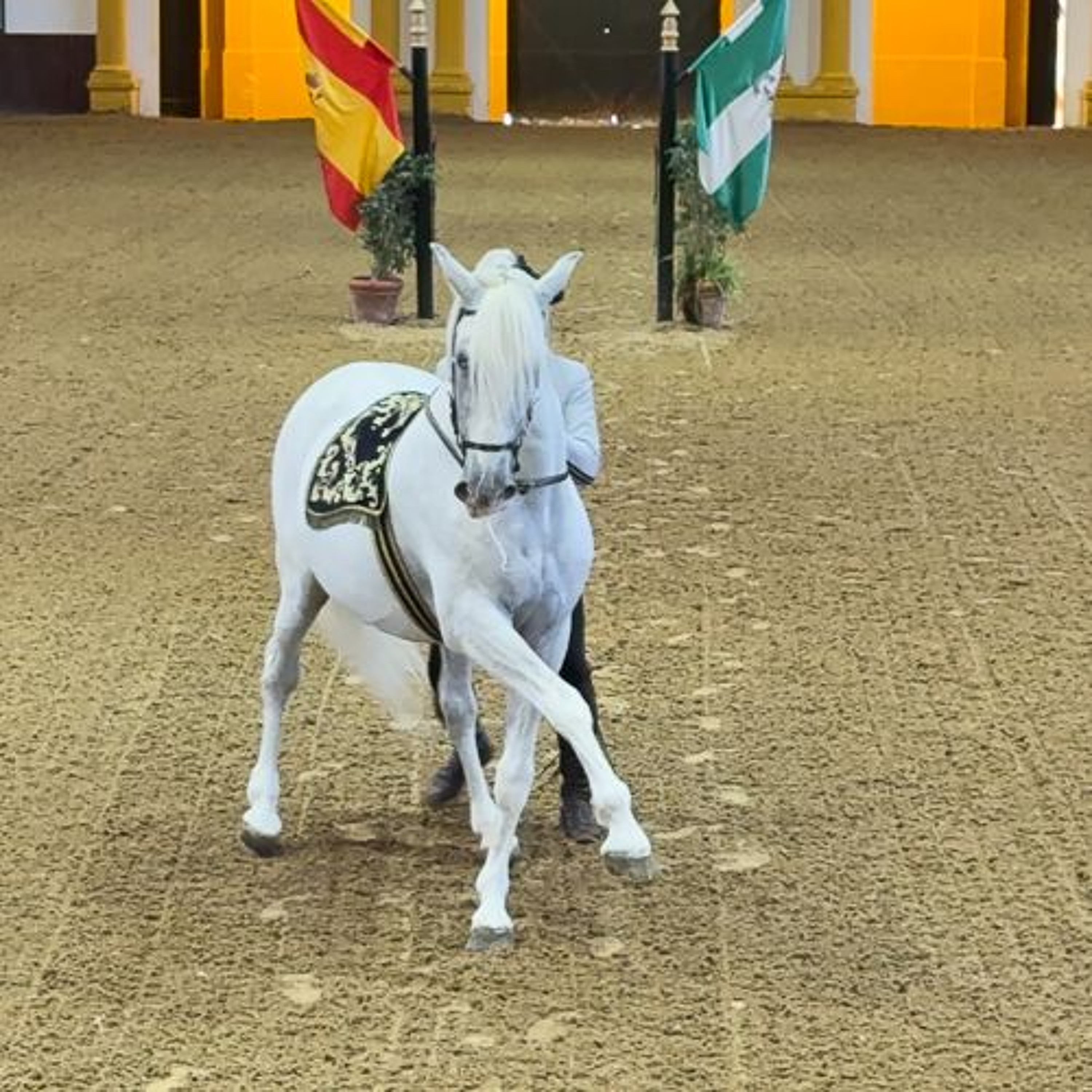 Kristin Henning on Jerez for Food Wine Flamenco and Equestrian episode artwork