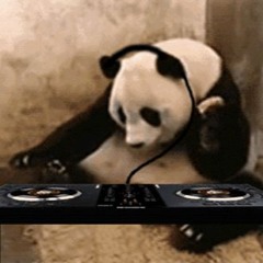 Episode 225: Progressive House & Techno (October 7th, 2024)