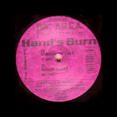 Hand's Burn - Vision Of Life