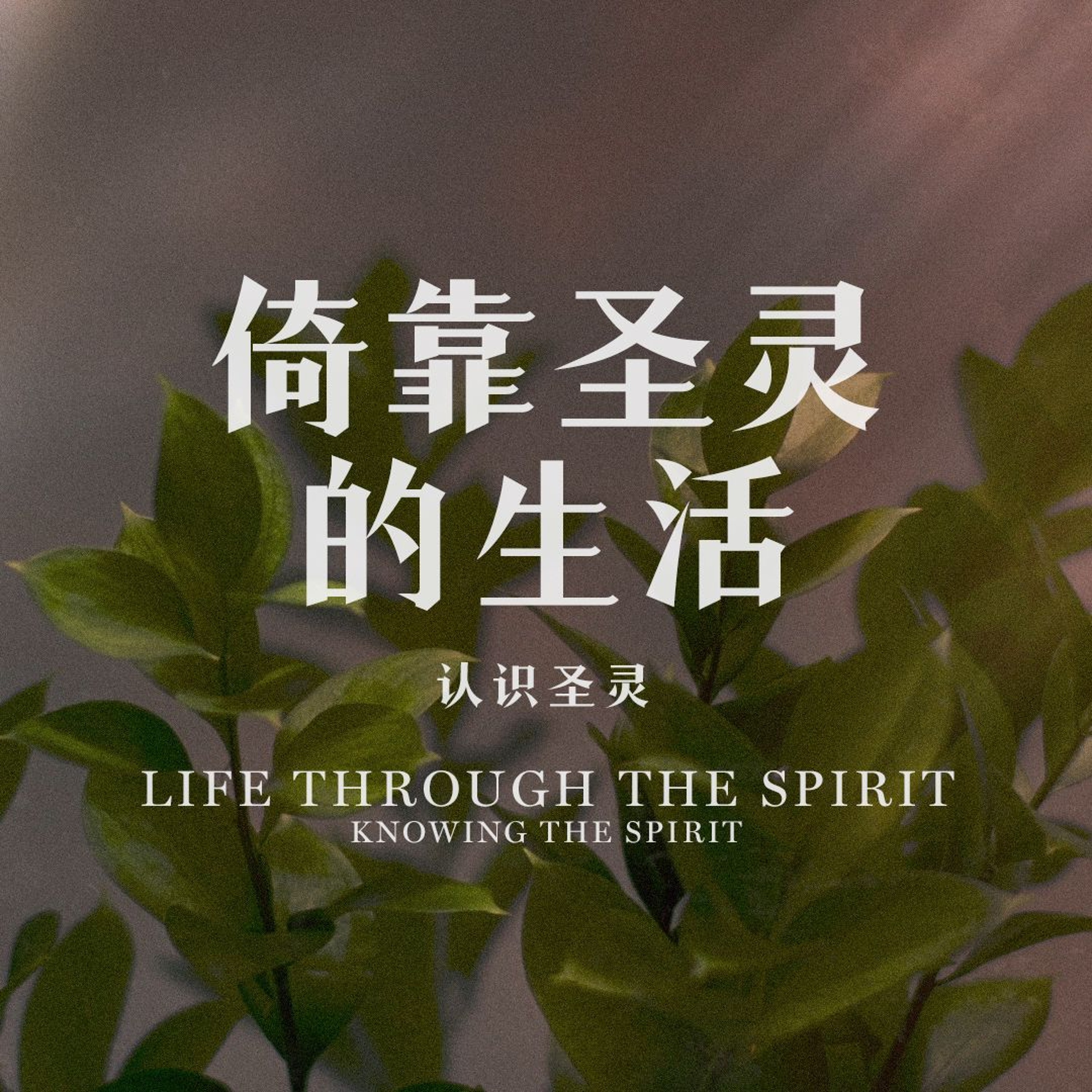 06/09/2024 【罗马书】倚靠圣灵的生活 —— 认识圣灵（罗 8:5-11）——王唯权 牧师 episode artwork