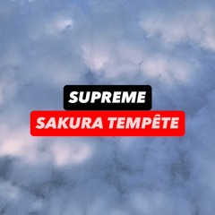 SUPREME SAKURA TEMPETE 2025