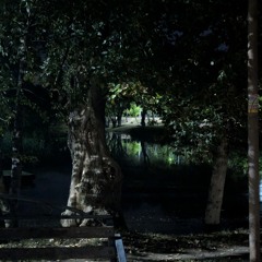 CRYSTAL CASTLES Black Panther (resampling)