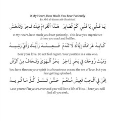 O Heart How Much Patience You Show