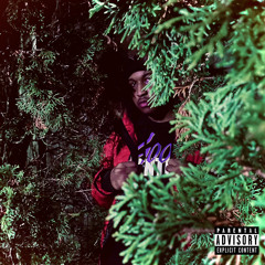 Irony  2 (prod. Paprob) Ft. CruddyNovember