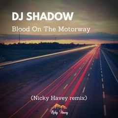 DJ Shadow - Blood On The Motorway (Nicky Havey remix)- Free DL