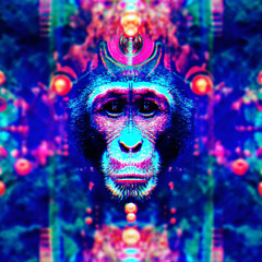 I Wanna See You Sweat