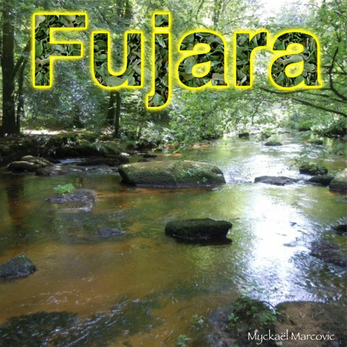 Fujara