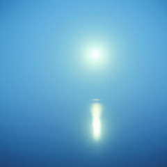 Moonlight Dreams