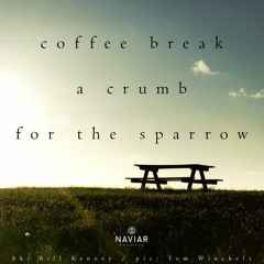 Boson Spin - A crumb for the sparrow [naviarhaiku 353]
