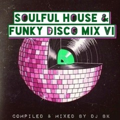 Soulful House & Funky Disco Mix VI