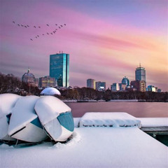 Best Things To Do In Boston February Tours Review