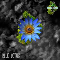 Blue Lotus