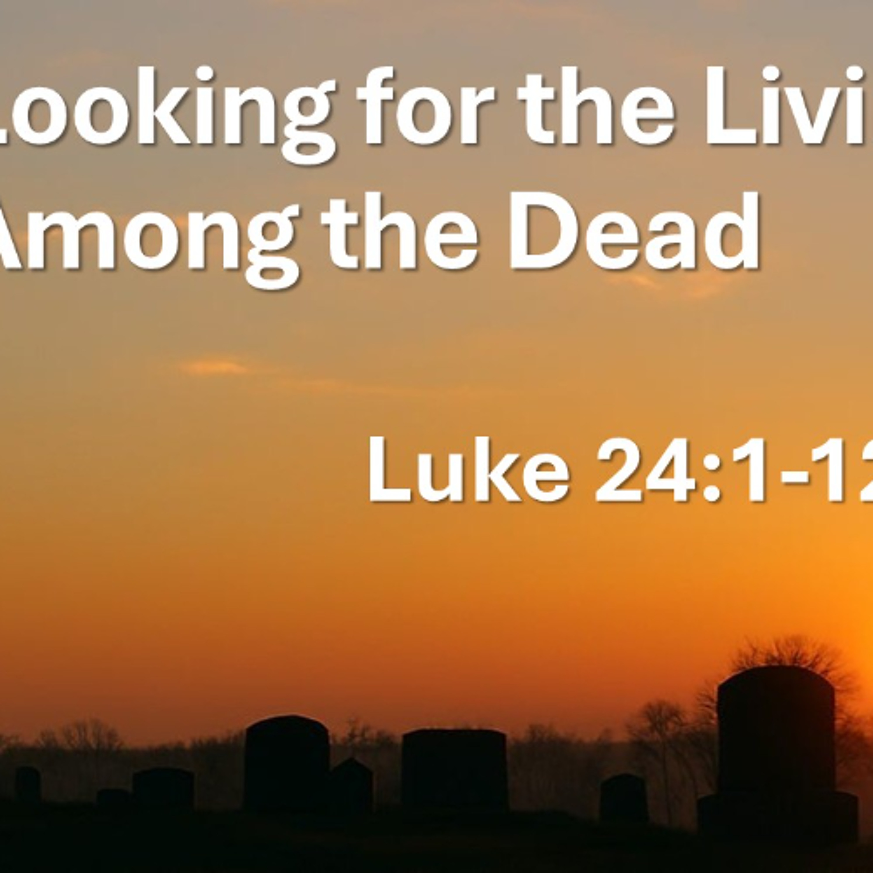 Looking for the Living Among the Dead | An Easter Sermon on Luke 24:1-12