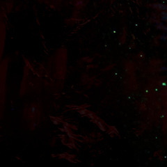 death before digital(demo)