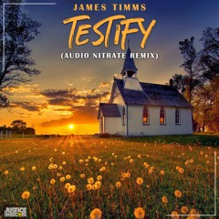James Timms - Testify (Audio Nitrate Remix) ⚠️OUT NOW⚠️