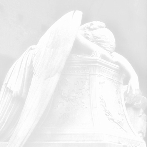 rock lobster !! — live