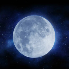 Moonlit Resilience